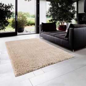 Super Soft Polyester Shag Area Rug Super Soft Polyester Shag Area Rug